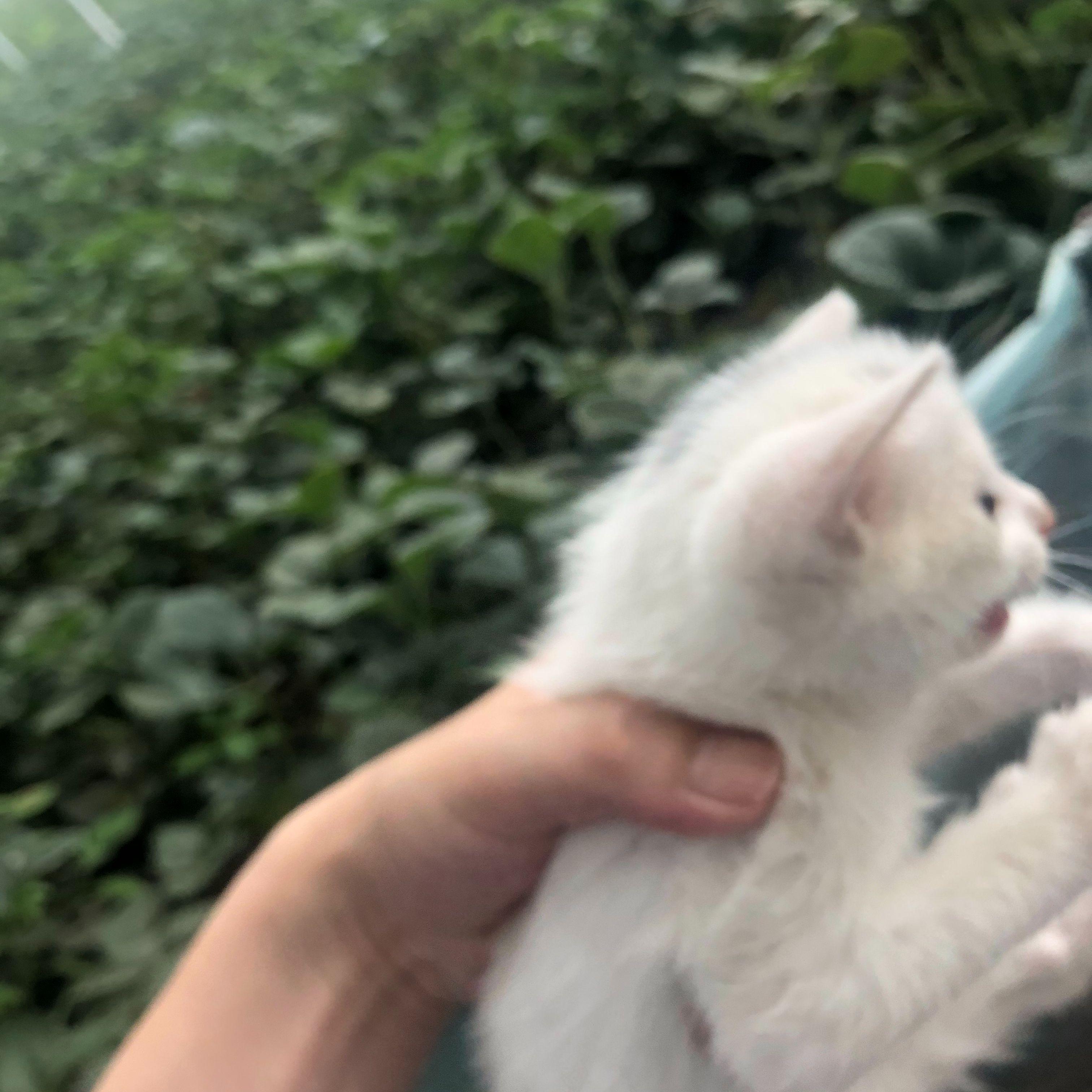灰尘封面