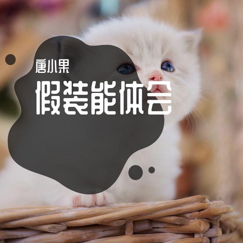 坚强的假装封面