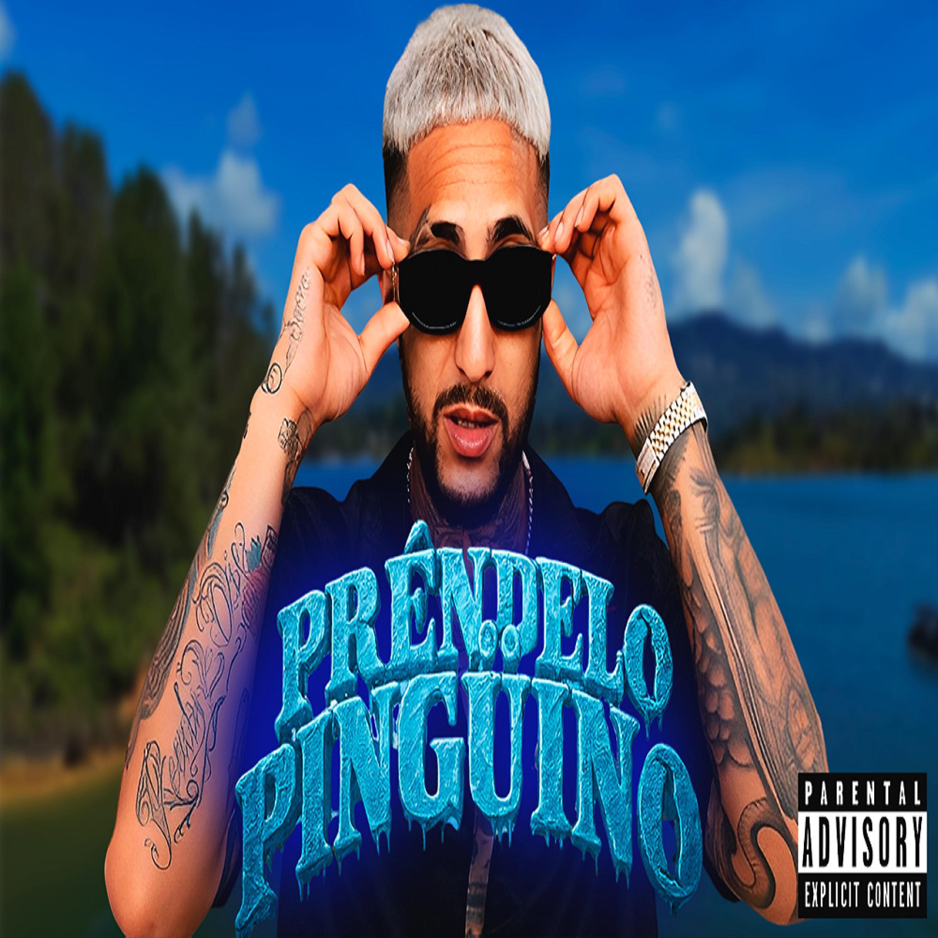 PISTA DE PRÉNDELO PINGÜINO