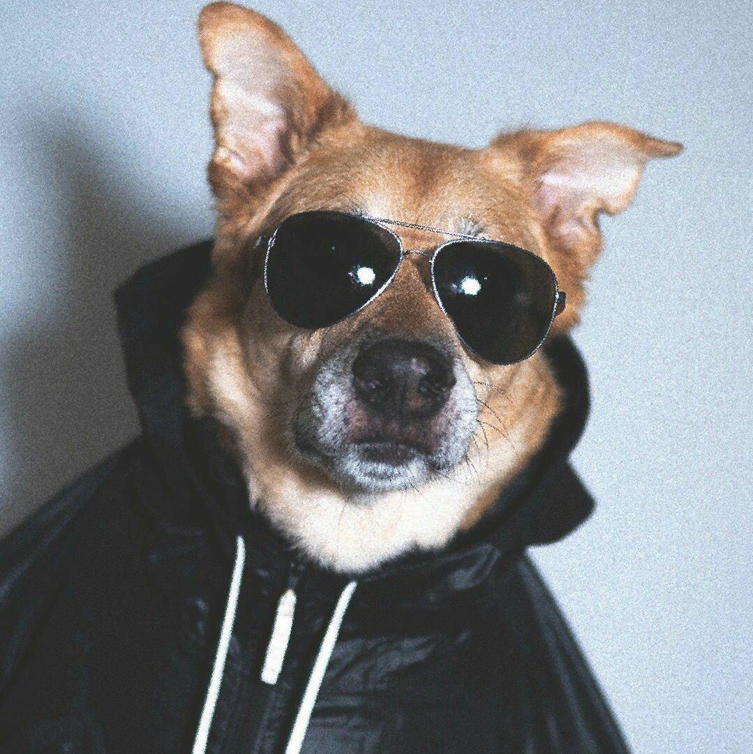 布鲁诺马尔斯lz