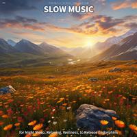 #01 Slow Music for Night Sleep, Relaxing, Wellness, to Release Endorphins