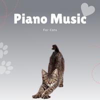 Piano Music for Cats