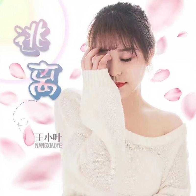 逃离 (伴奏)封面