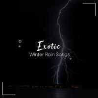 #15 Exotic Winter Rain Songs from Nature