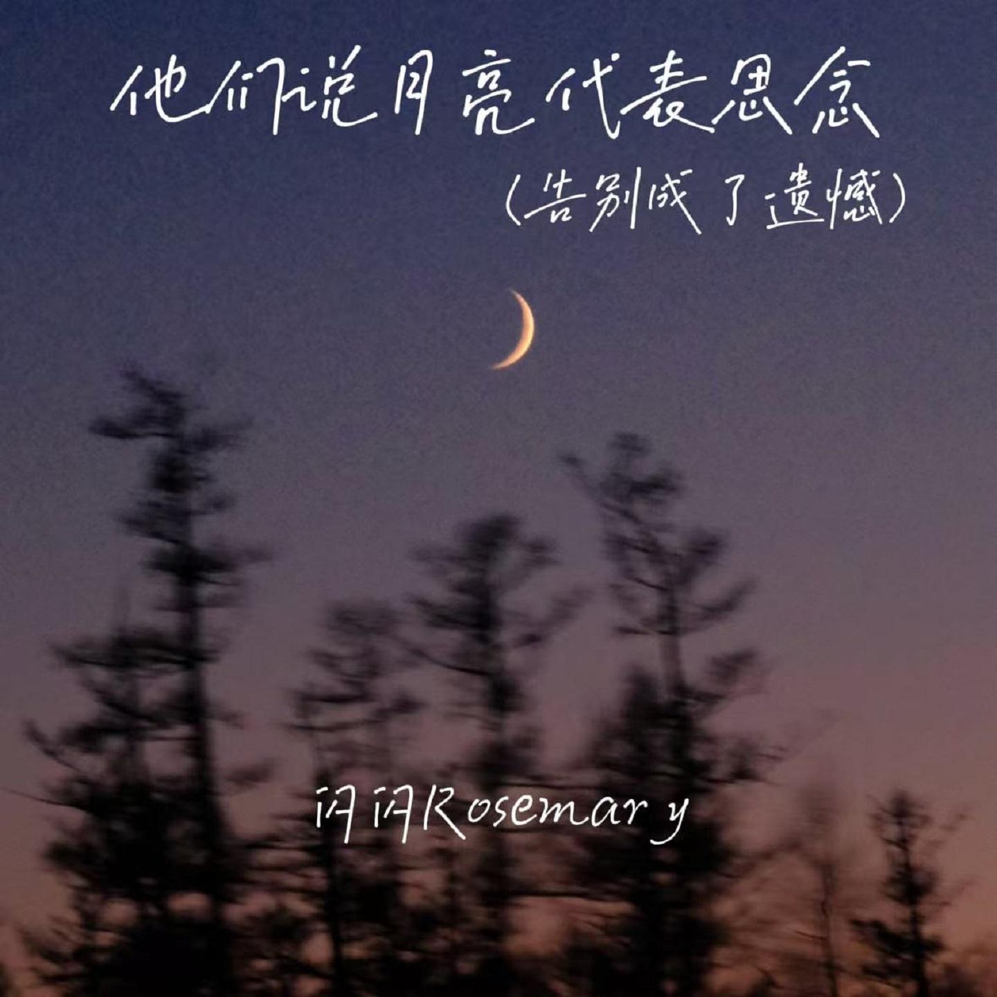 他们说月亮代表思念(告别成了遗憾) - 闪闪Rosemary封面