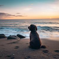 Aventuras Oceánicas De Un Perro Alegre: Barcarola Del Movimiento De La Cola