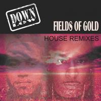 Fields of Gold (Remixes)