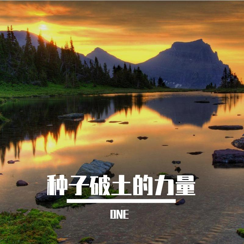 种子破土的力量封面