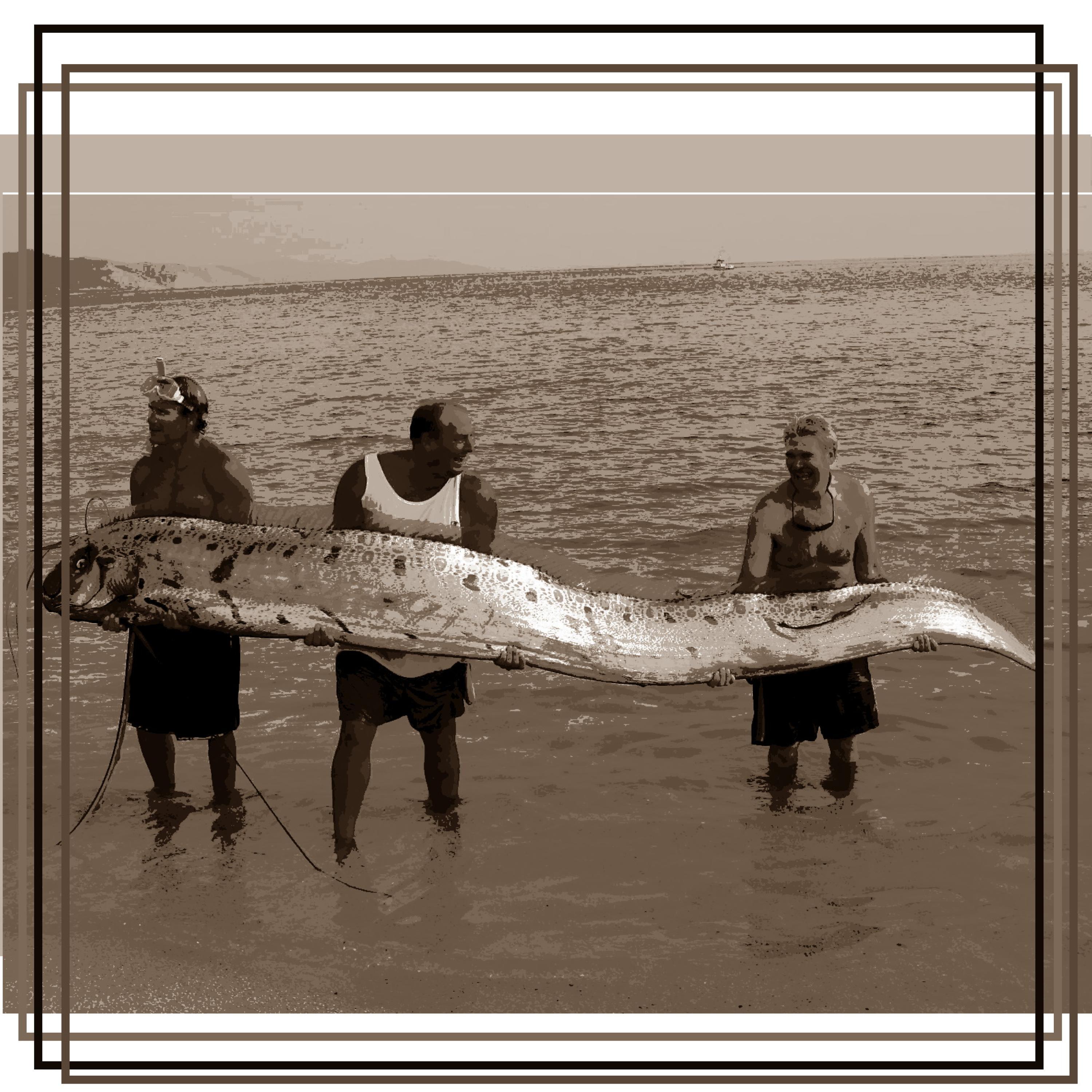 if there ever were in the sea