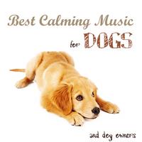 Best Calming Music for Dogs and Dog Owners