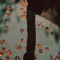 tell me to fall and i will