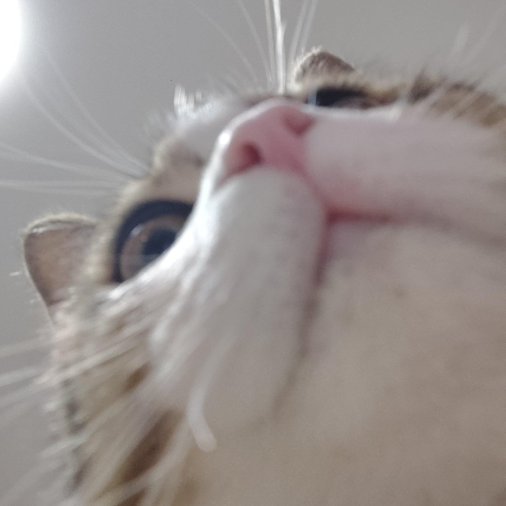 我们一起去海边走走_