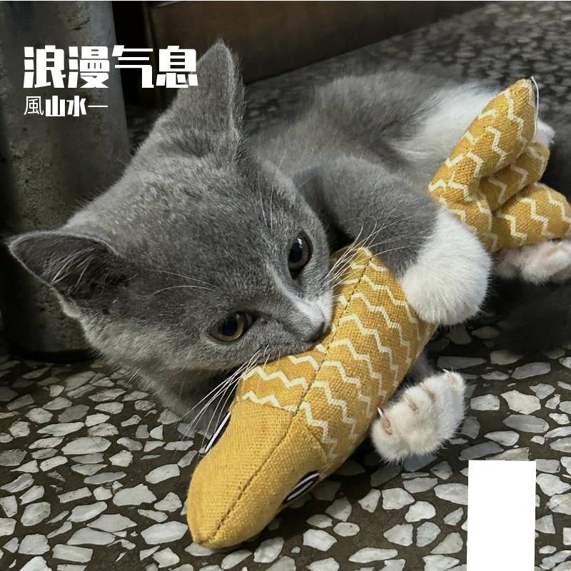 相守 伴奏封面