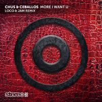 More I Want U (Loco & Jam Remix)