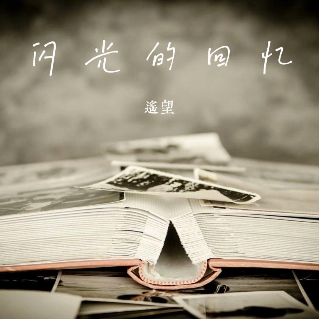 闪光的回忆封面