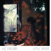 Little Vision