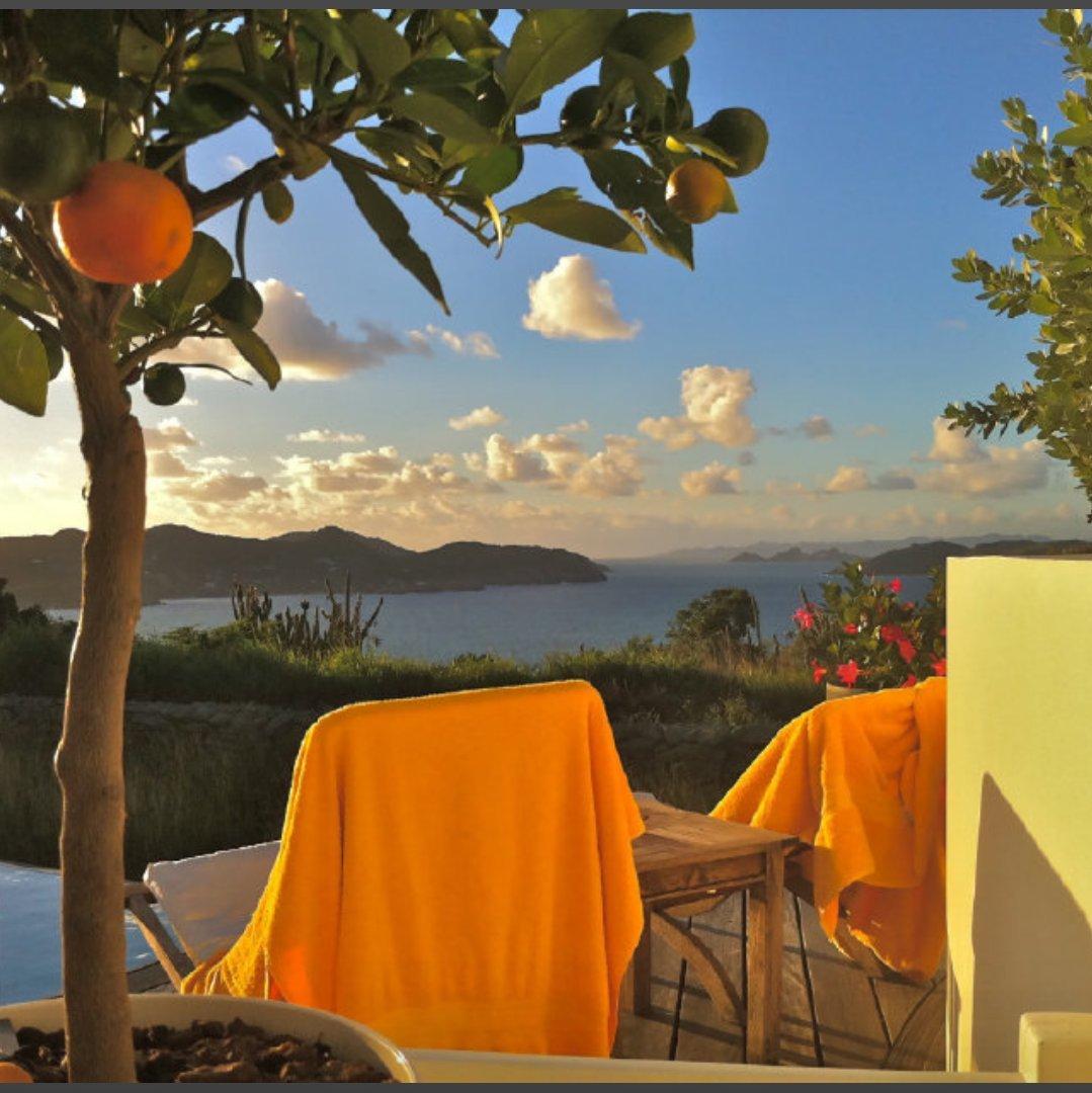 海边树一动不动