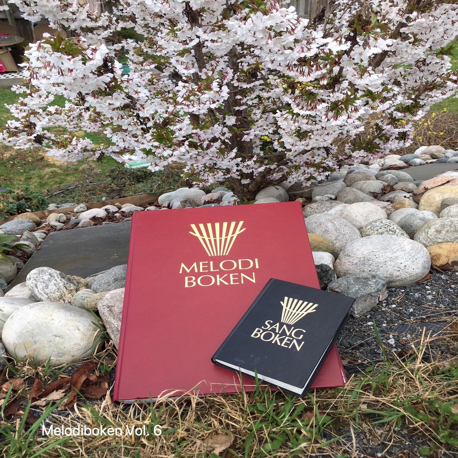 Det er solskinn i min sjel