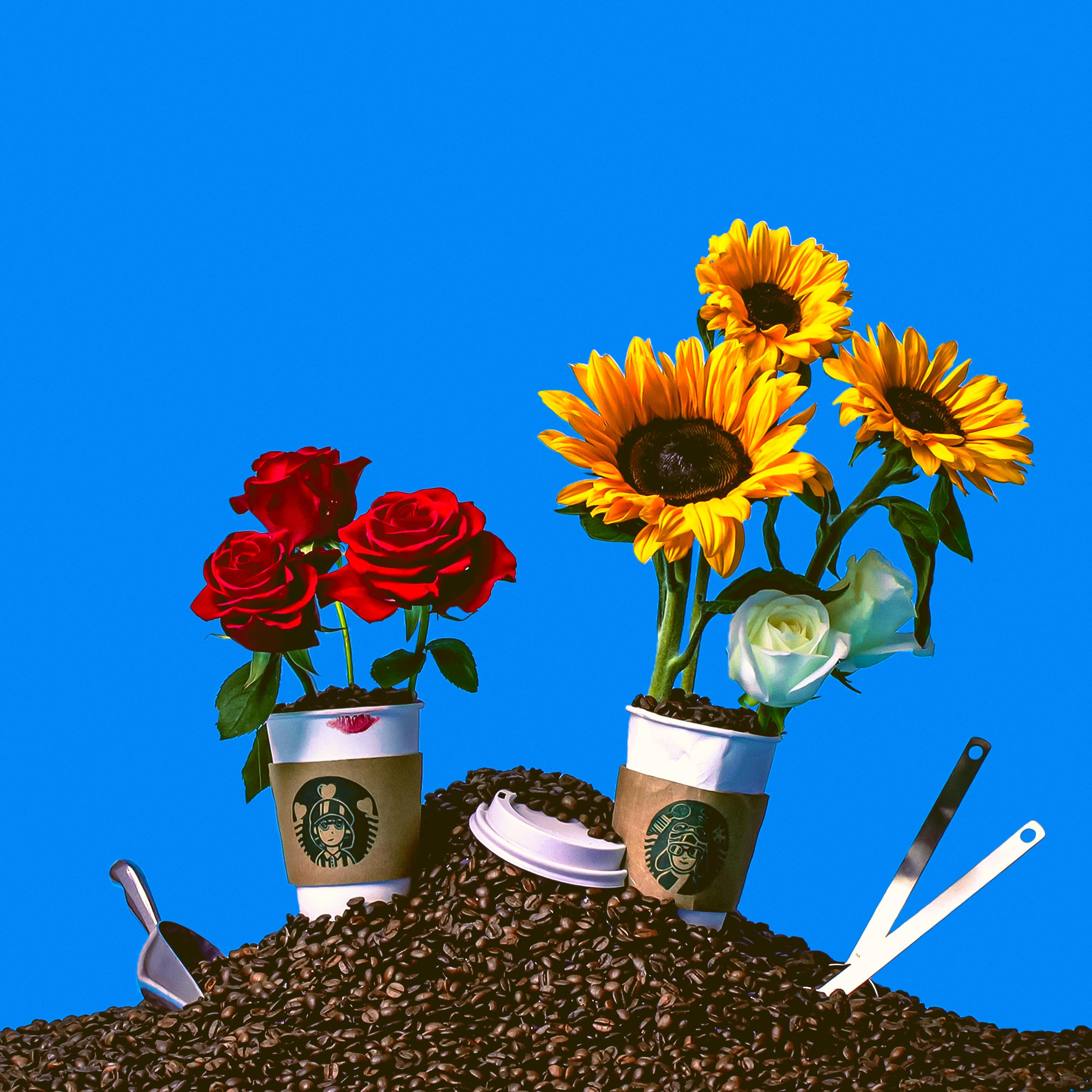 WONSTEIN 원슈타인