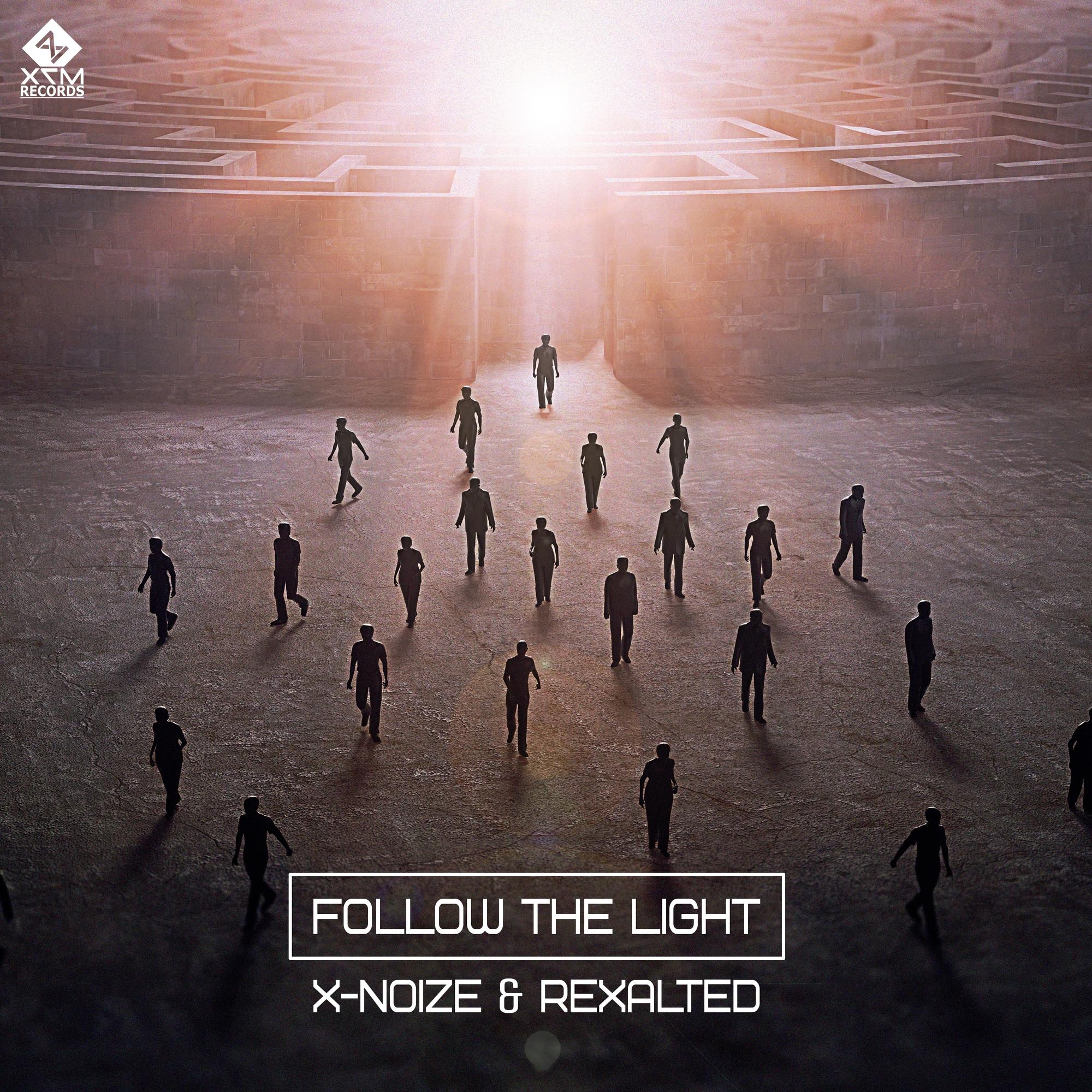 Follow The Light (Original Mix)