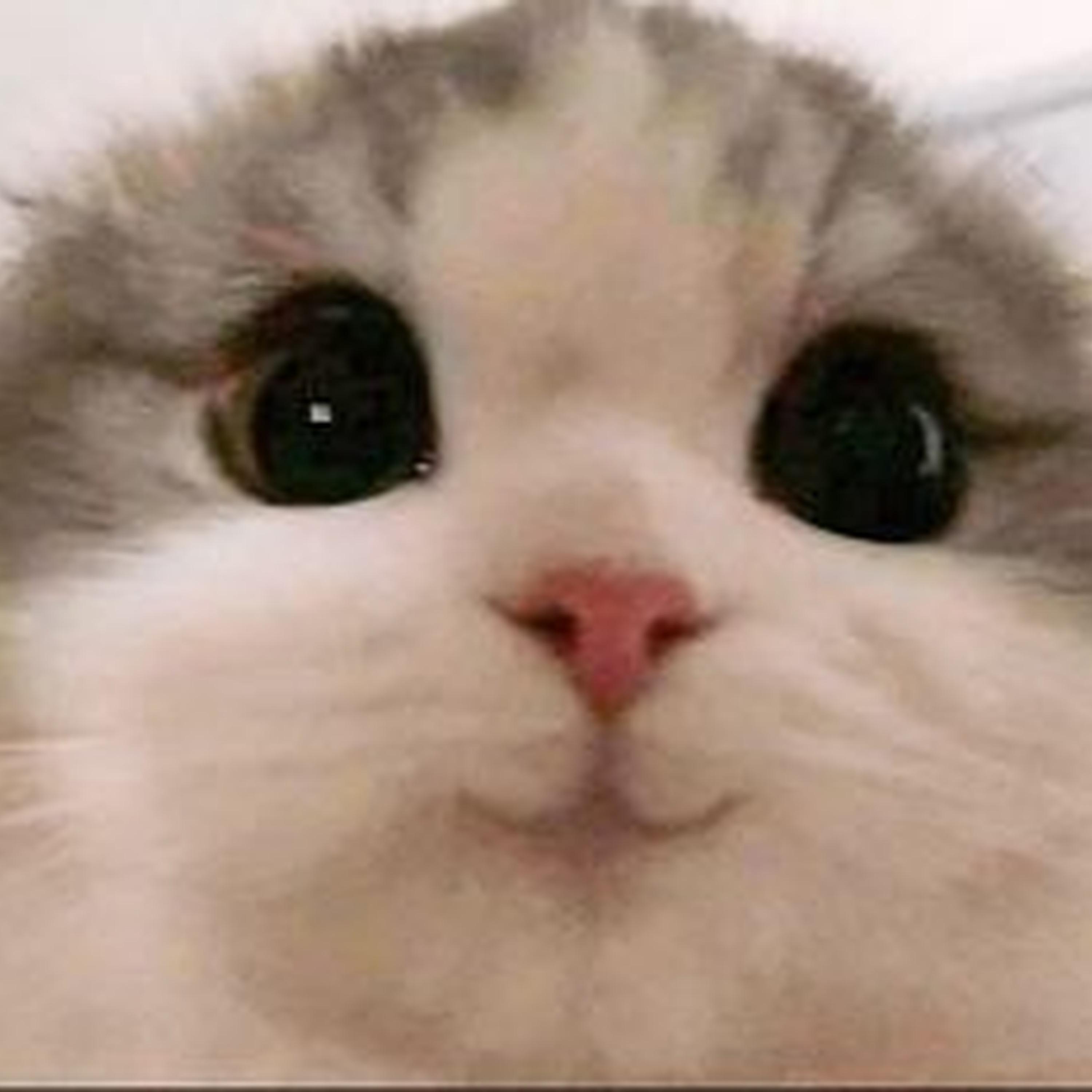 mama's boy (Sped Up)