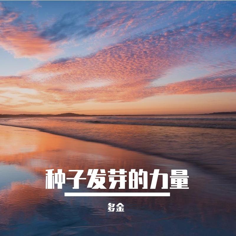 种子发芽的力量封面