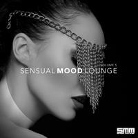 Sensual Mood Lounge, Vol. 5