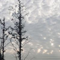 宇田yt资料,宇田yt最新歌曲,宇田ytMV视频,宇田yt音乐专辑,宇田yt好听的歌