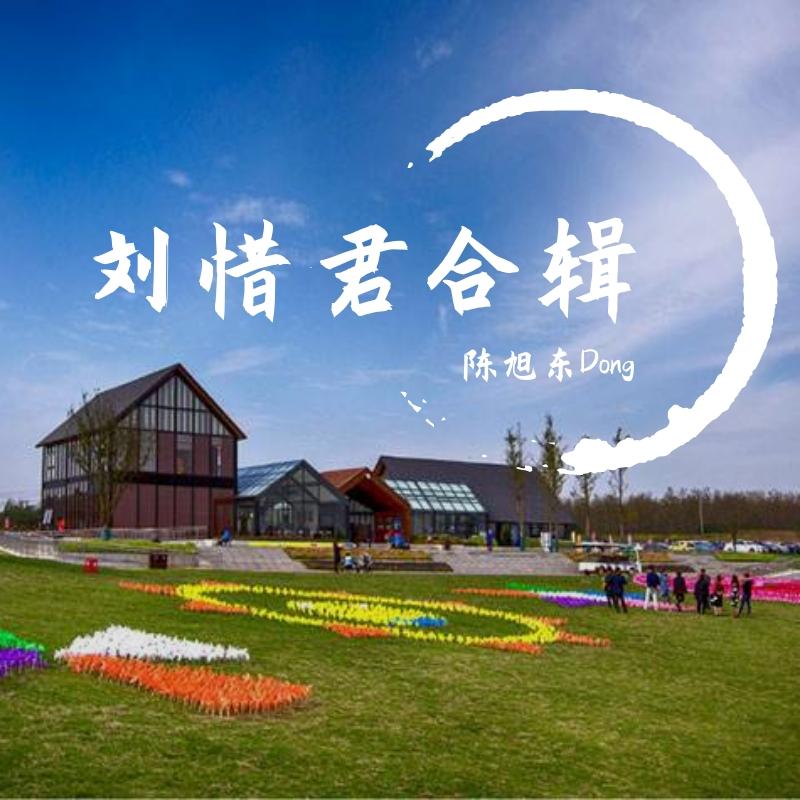 多傻封面