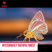 Mysteriously Youthful Forest