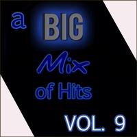 A Big Mix of Hits, Vol. 9