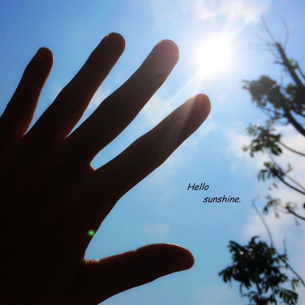 阳光味道 清新小调.