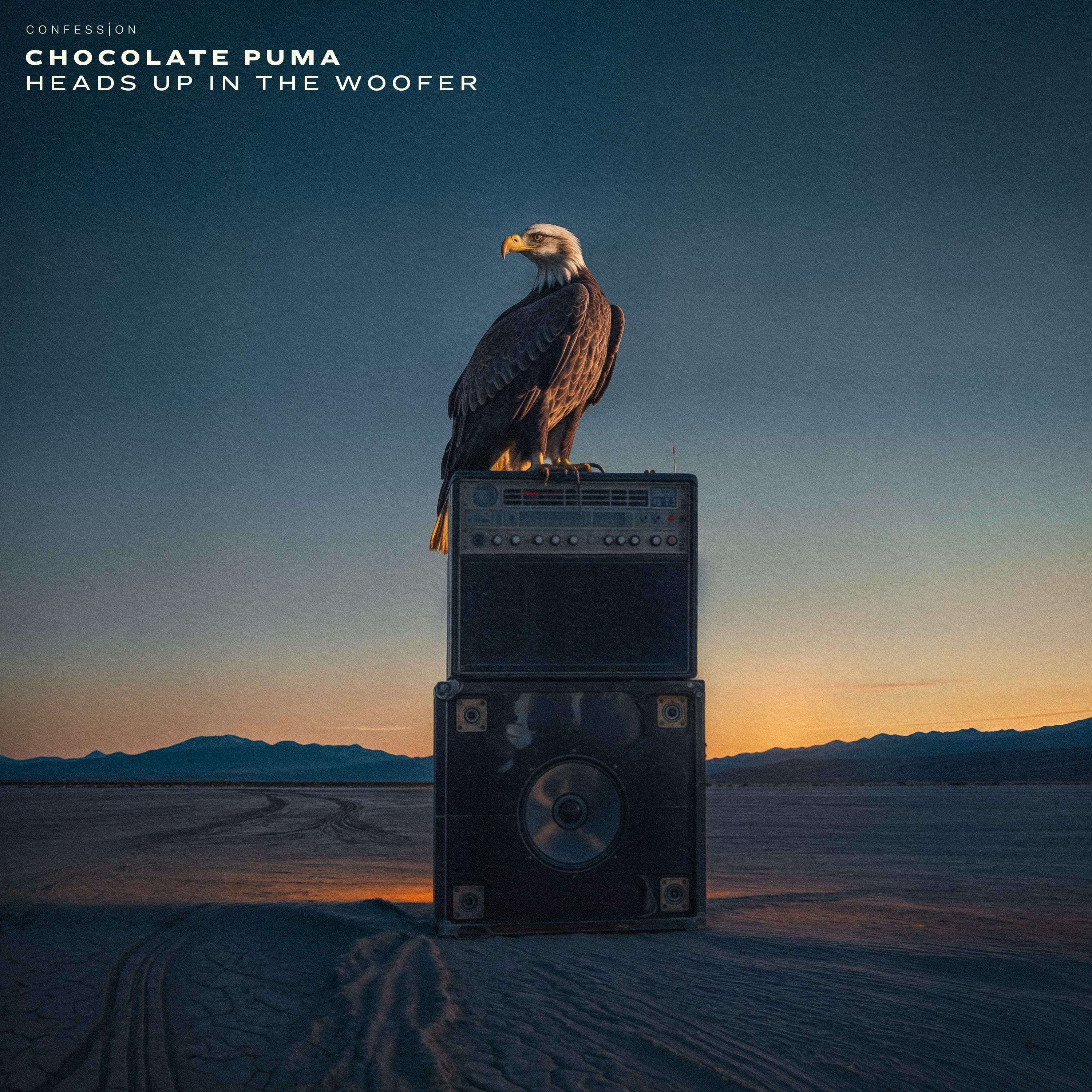 浩室流氓/Confession忏悔厂目录