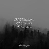 50 PRácticas Clásicas de Primavera