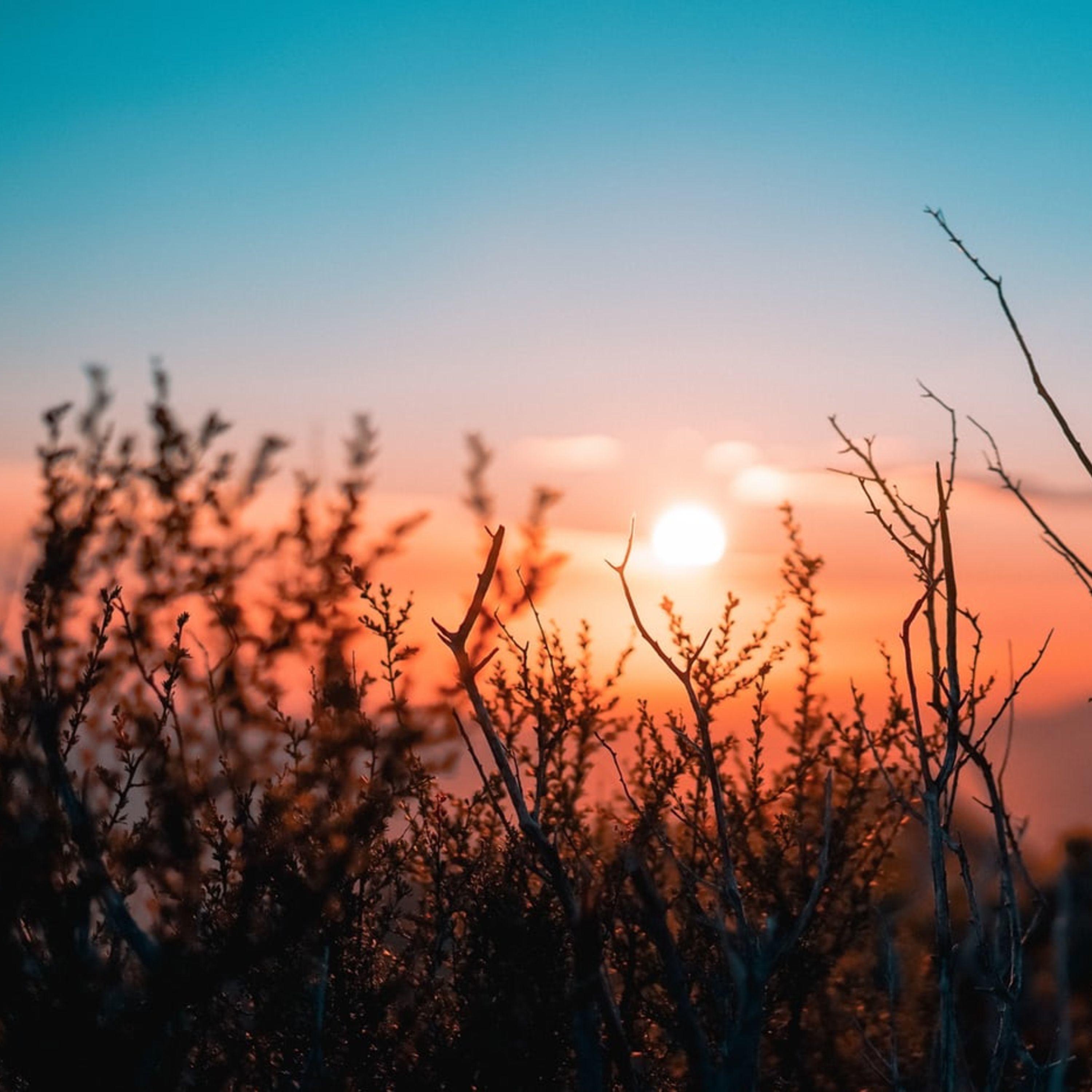 Las Estrellas De Arriba