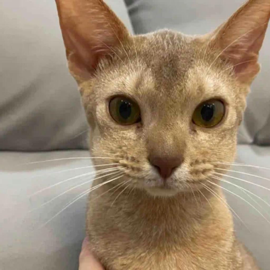 给老子注册上啊