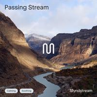 Passing Stream