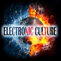 Electronic Culture