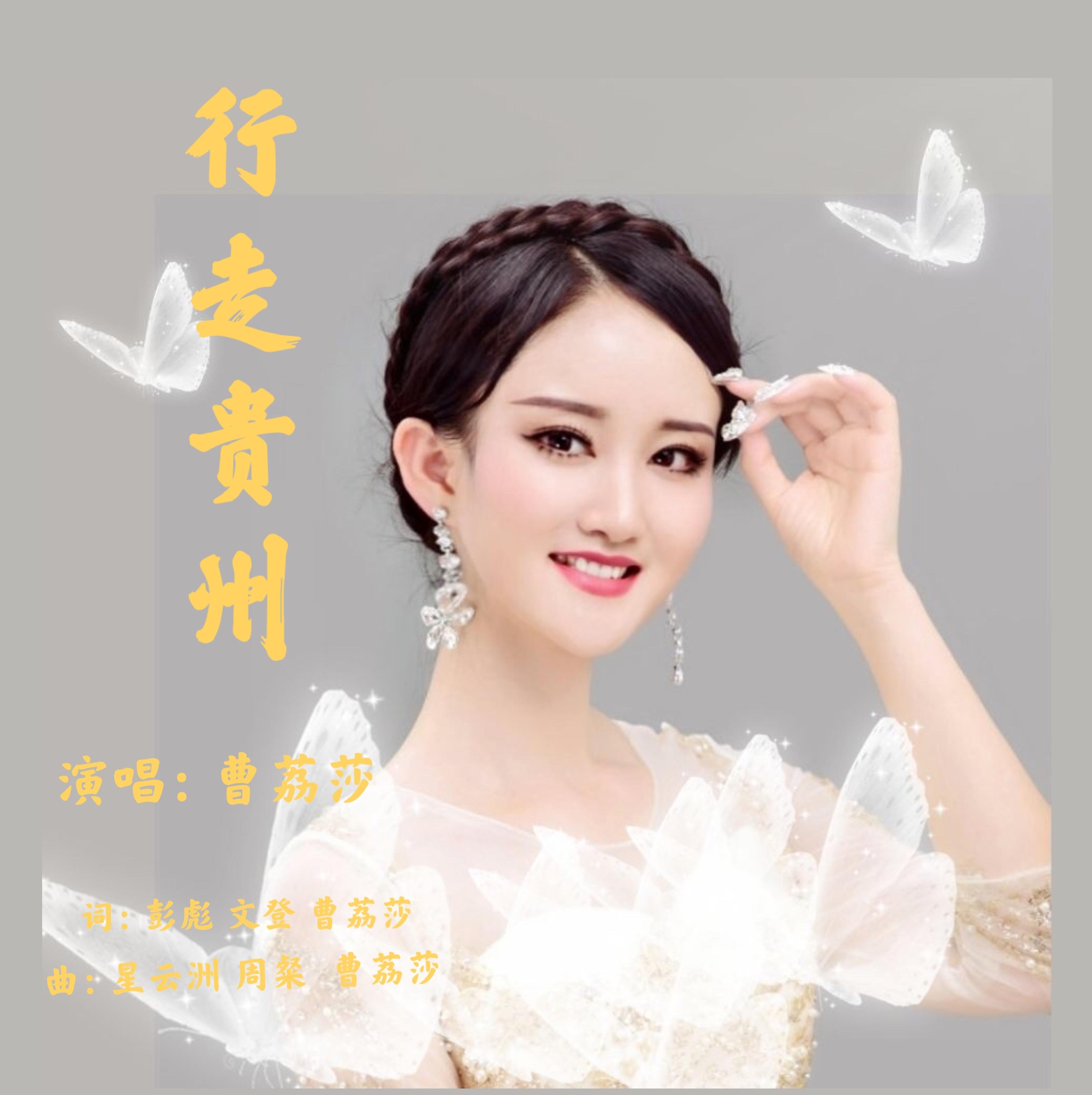 行走贵州封面