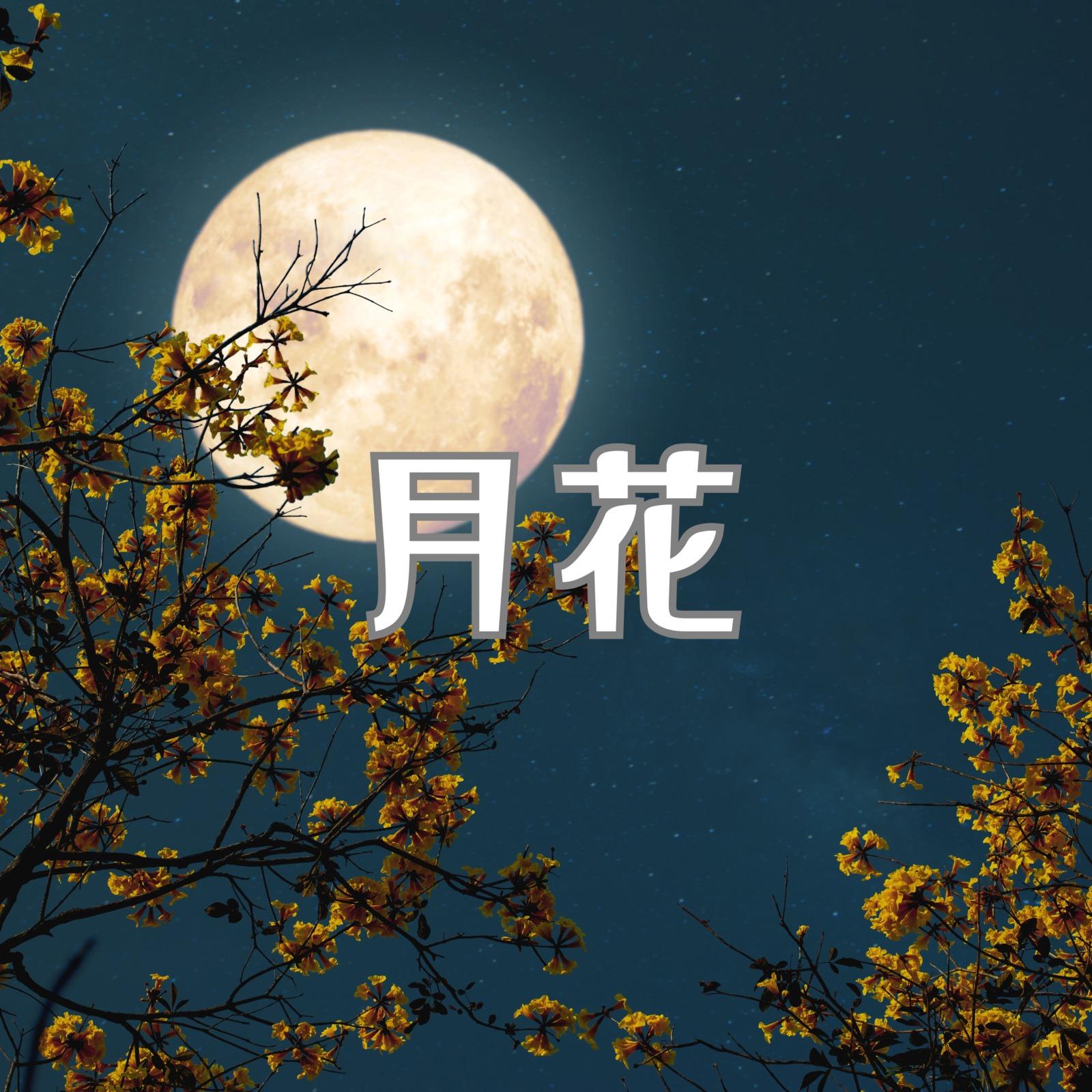 月花 (feat. synthesizer V Mai)