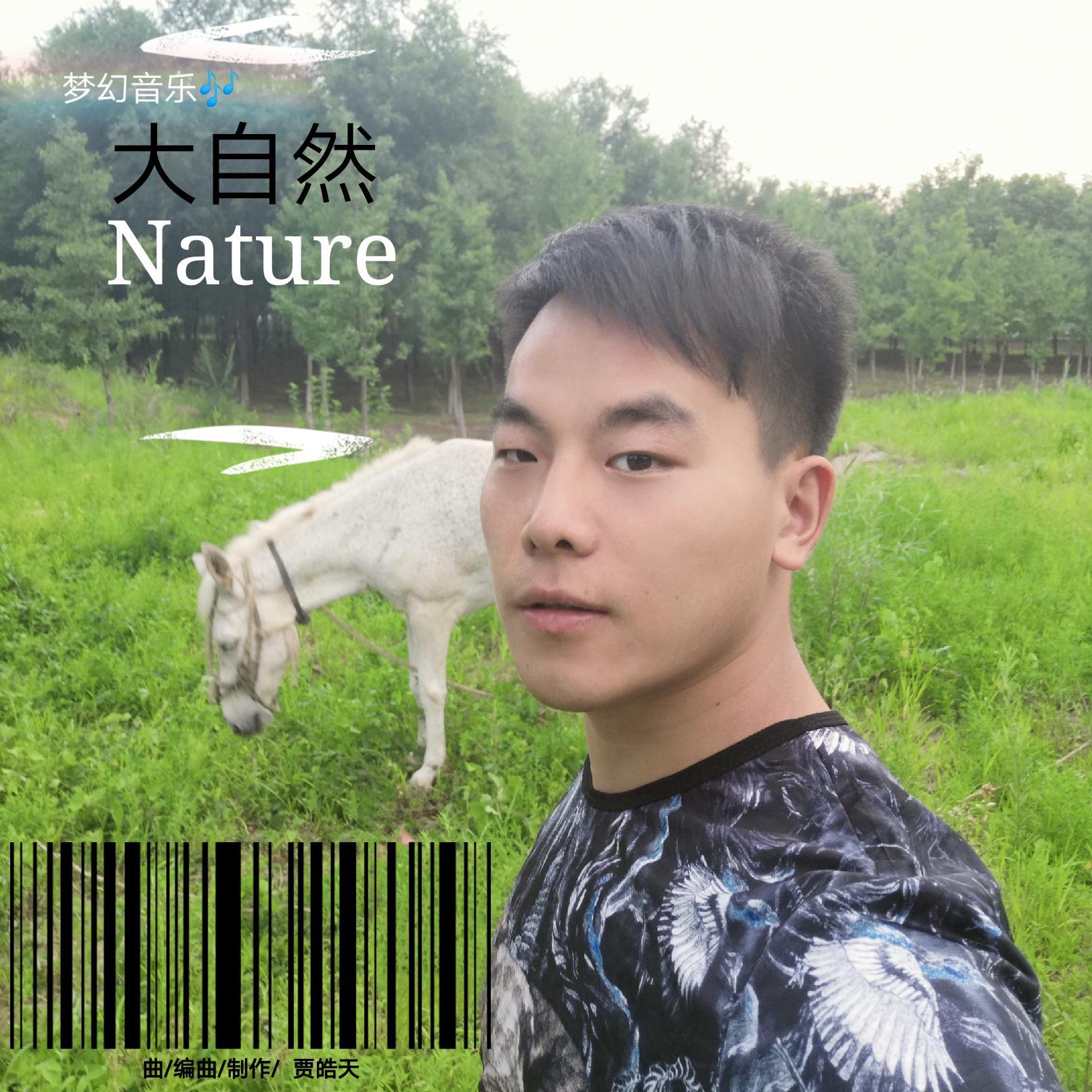 大自然(纯音乐)封面