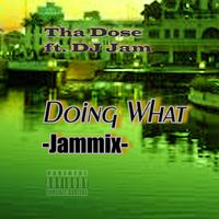 Doing What (feat. DJ Jam) [JAMMIX]