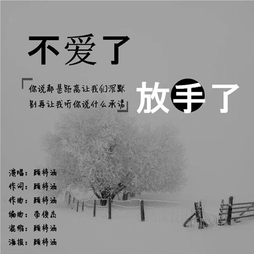 不爱了放手了封面