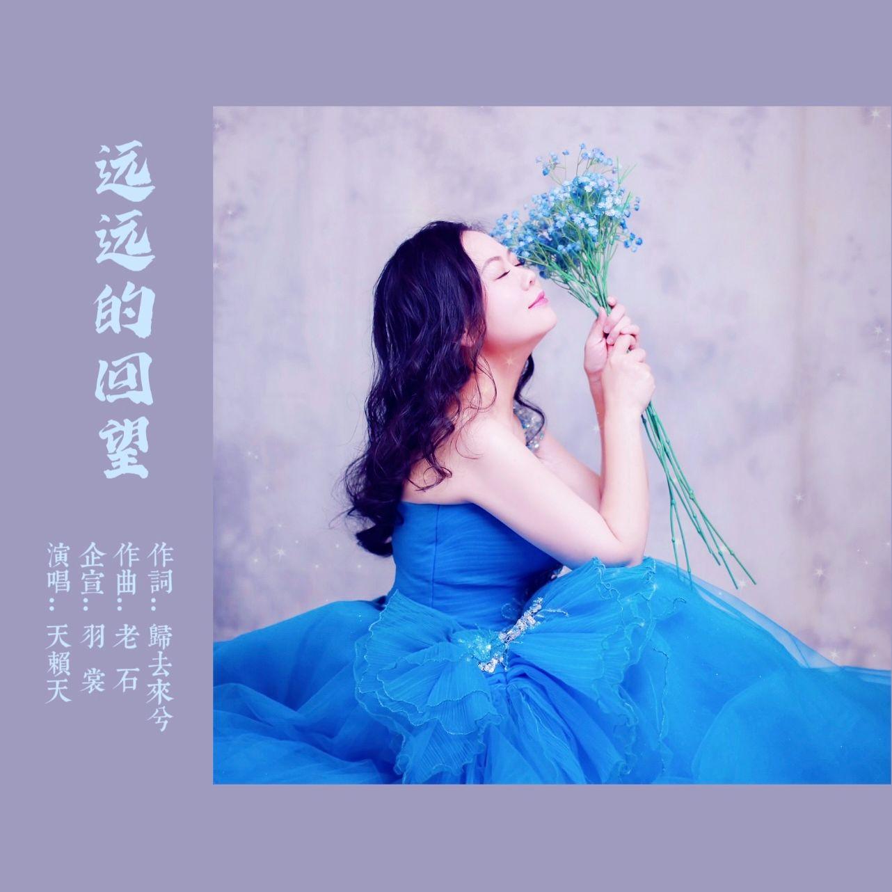远远的回望封面