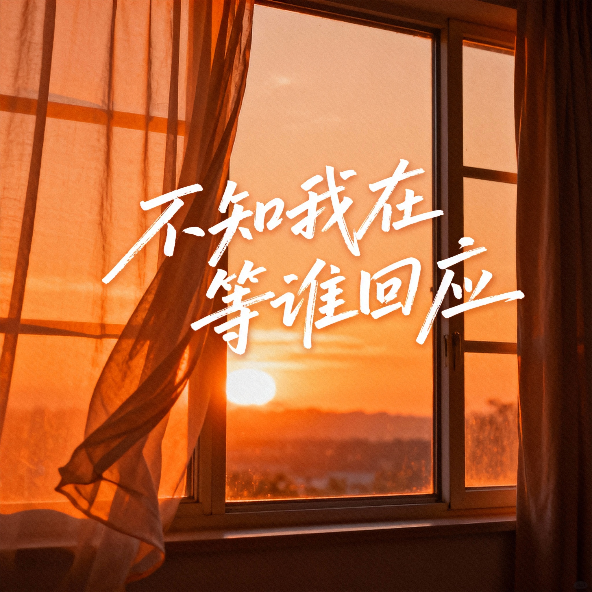 不知我在等谁回应