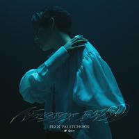 Night Bird - Single