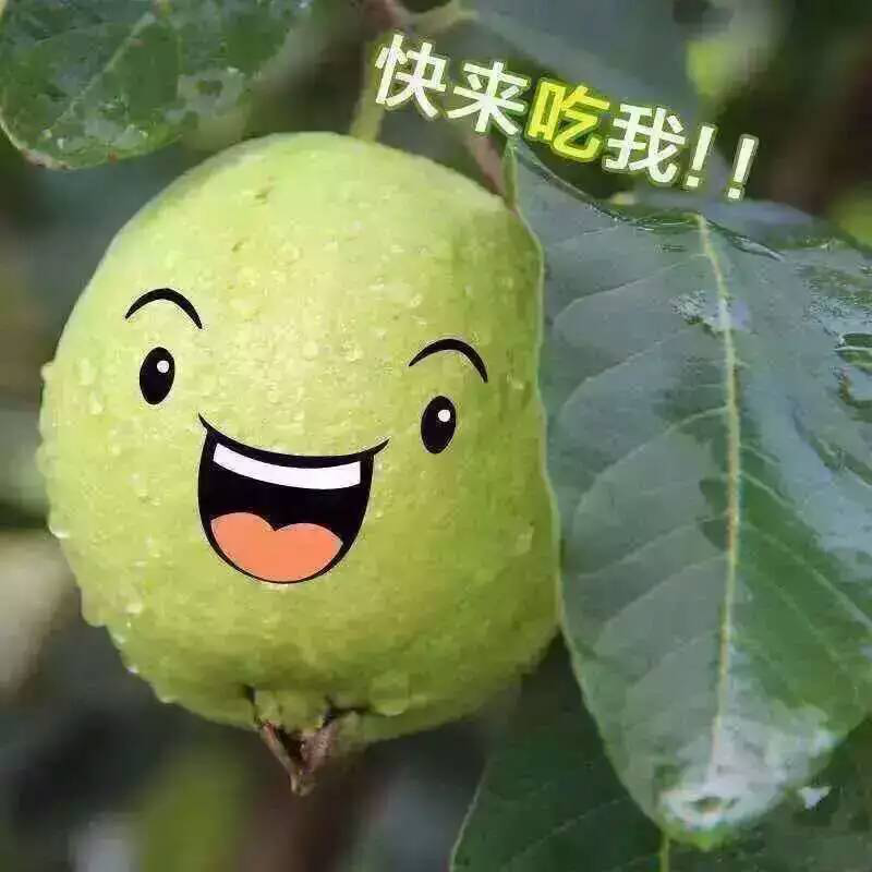 无关封面