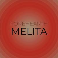 Forehearth Melita