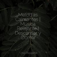 Melodías Calmantes | Música Relajante | Descansar y Dormir