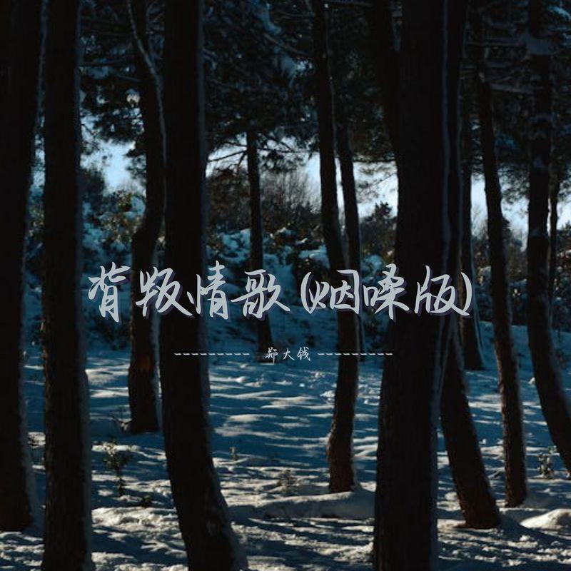 背叛情歌 (烟嗓版)封面